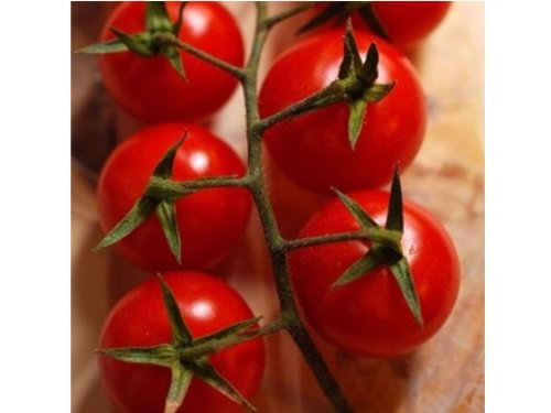 Rote, süße Cherry-Tomate – 20 Samen » Tomatenpflanzen.info
